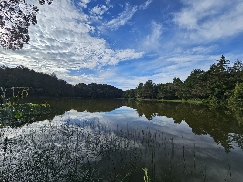 Don Manuel Lagoon