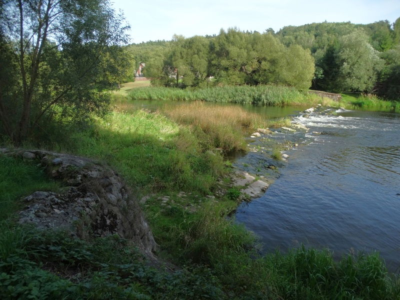 Dubysa