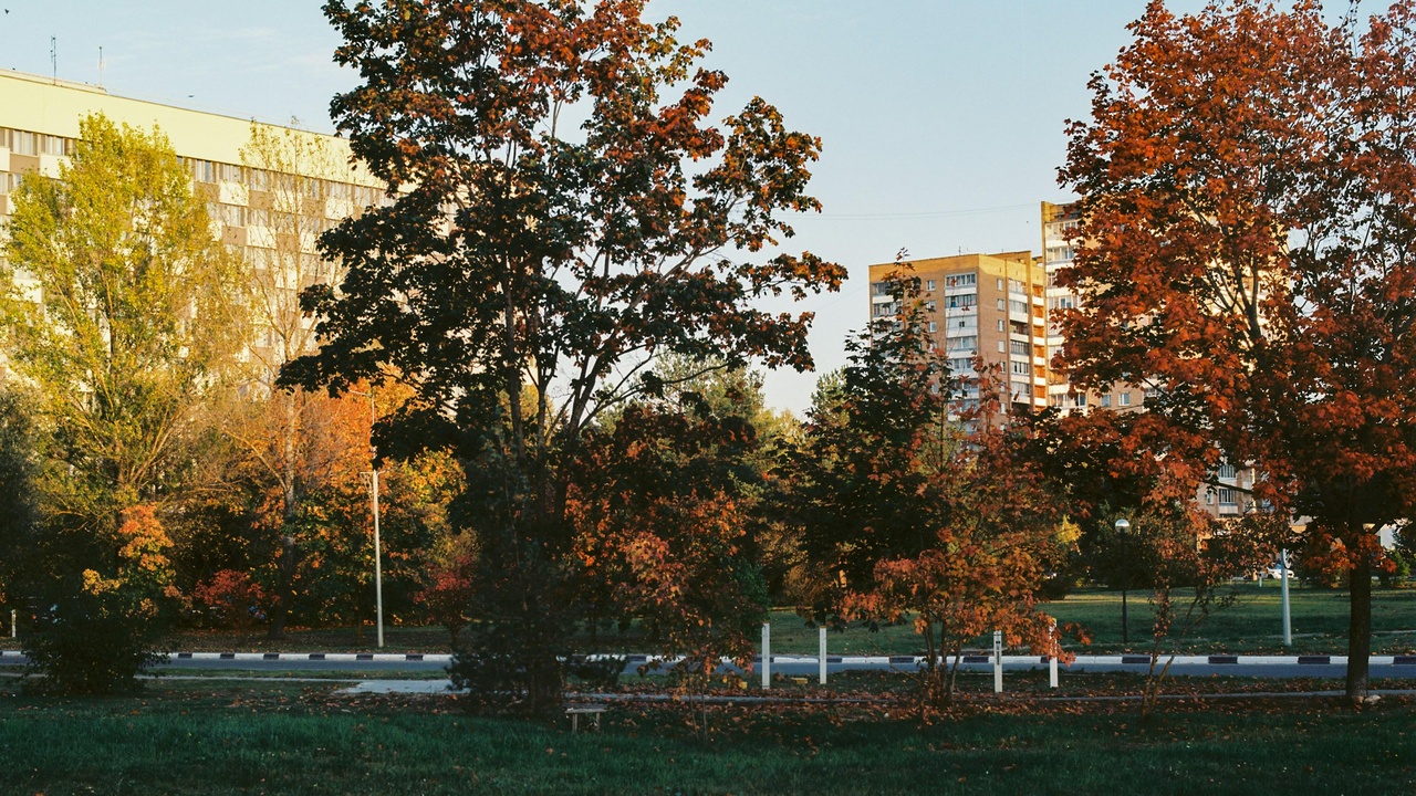 Krakow tram and modern office buildings representing jobs and transport