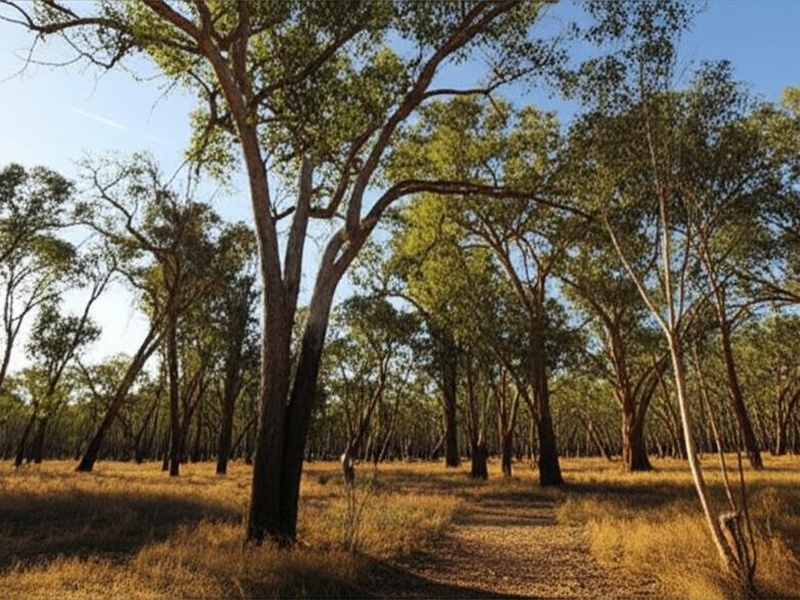 Erringibba
