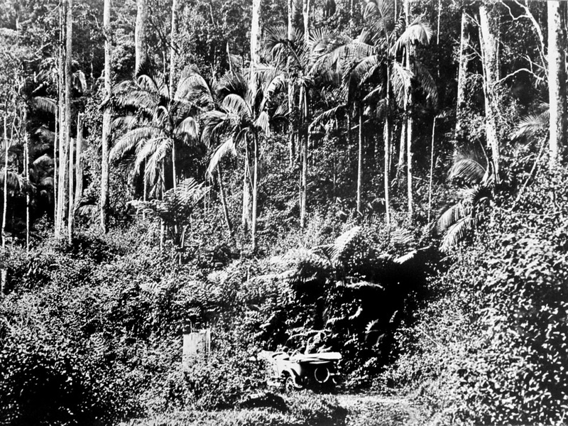 Eungella