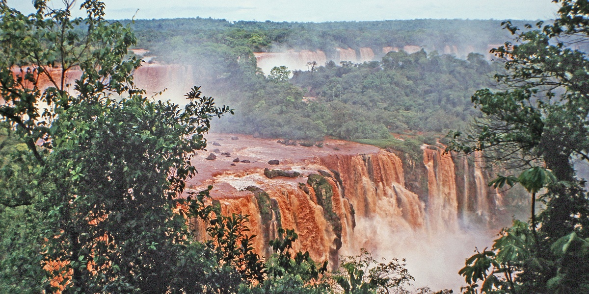 featured_image