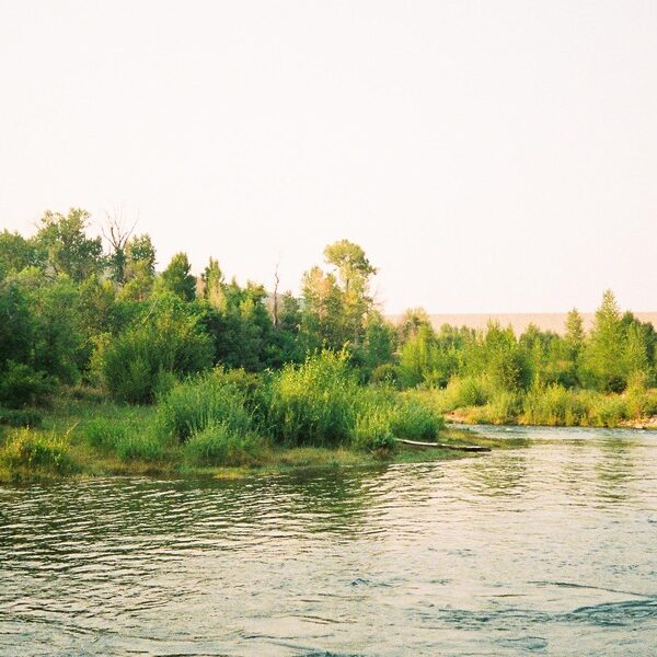 featured_image