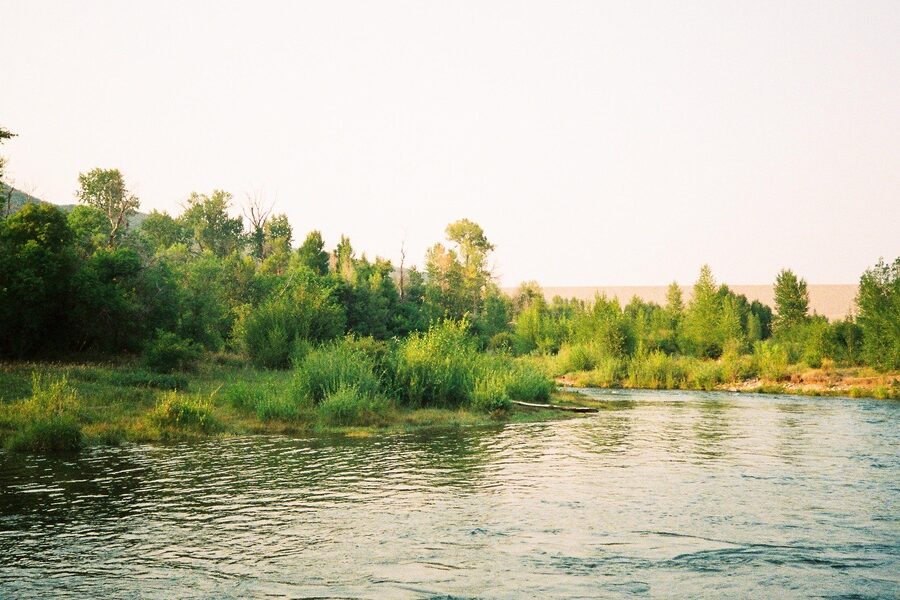 featured_image