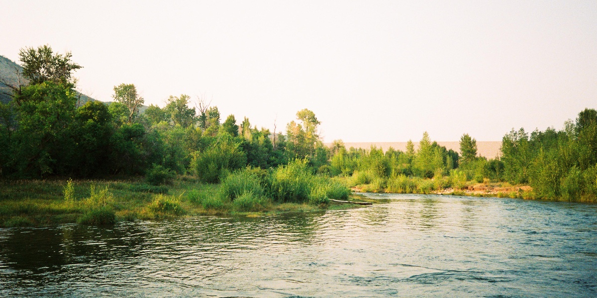 featured_image