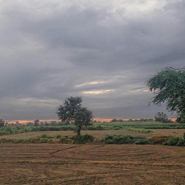 featured_image