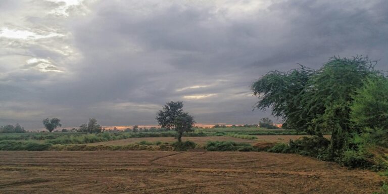 featured_image