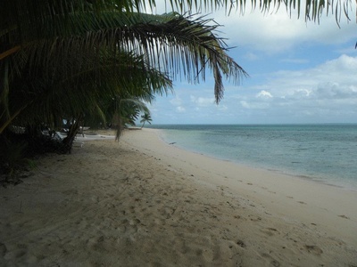 Fiji