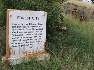 Forest City