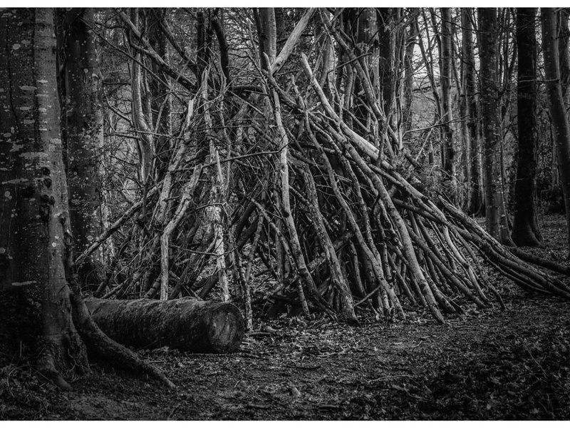 Forest Den