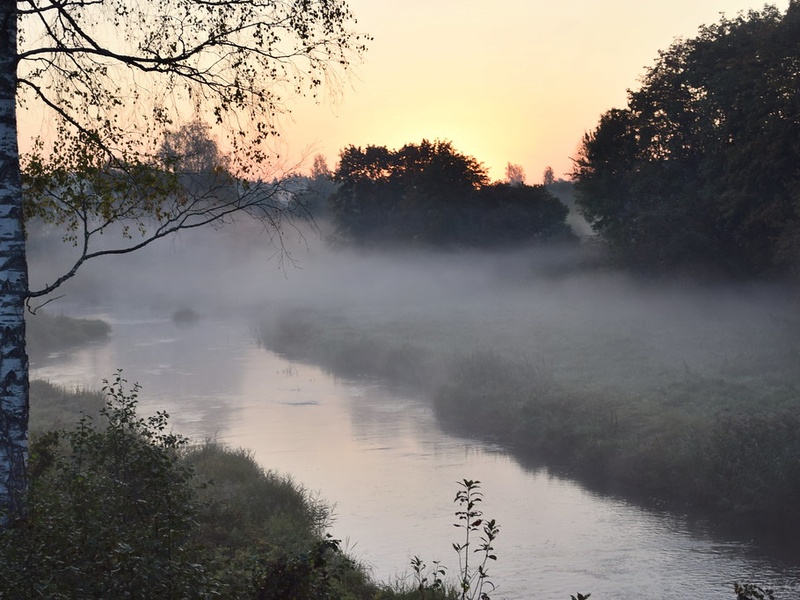 Gauja