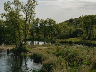 Grassy Lake
