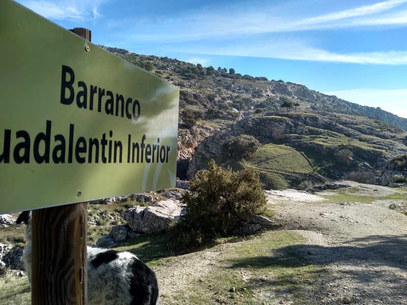 Guadalentín