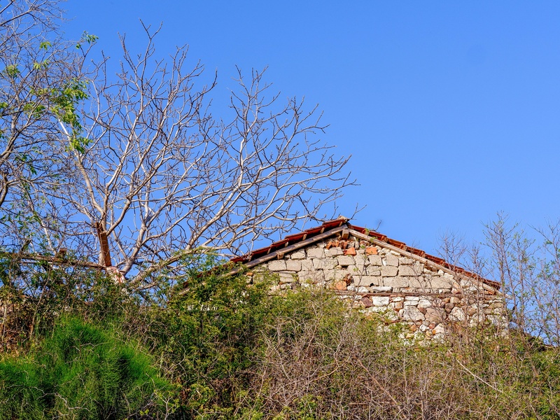 Hacienda Zuleta