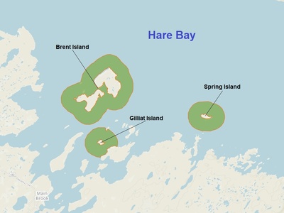 Hare Bay