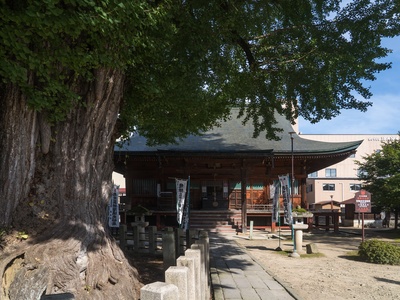 Hida