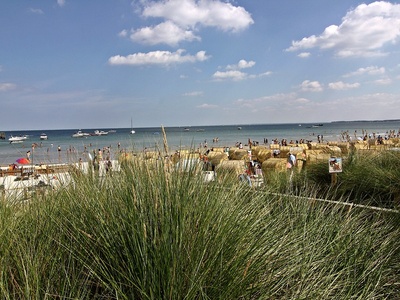 Holiday