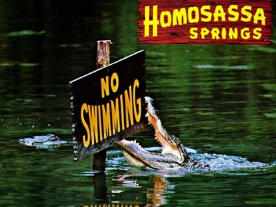 Homosassa
