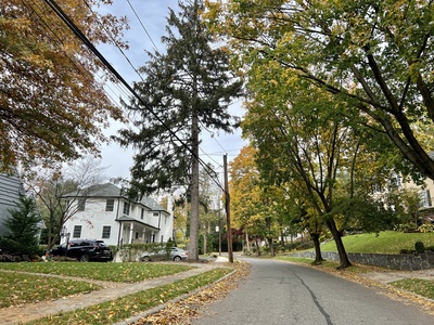 Island Heights