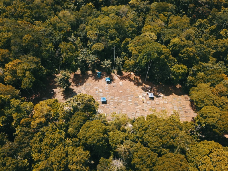 Jodensavanne Archaeological Site