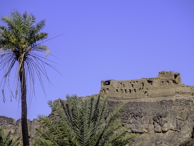 Khaybar Forts
