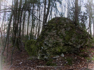 Kravjek Castle
