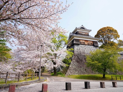 Kumamoto
