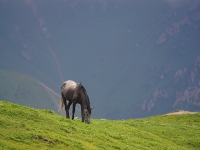 Kyrgyzstan