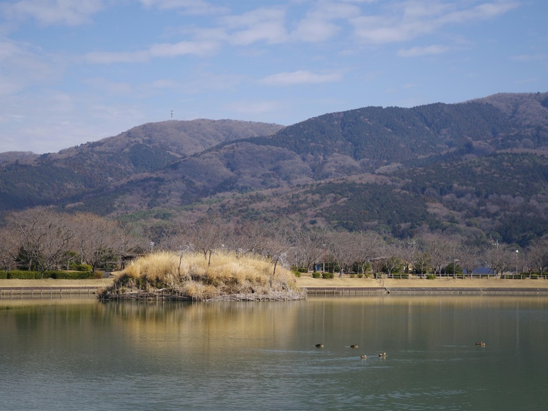 Laguna Caliente