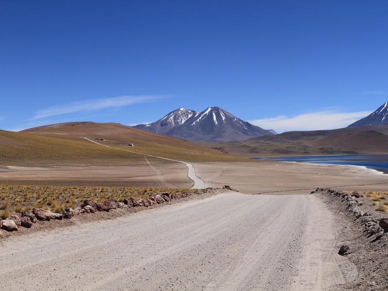 Laguna Miscanti