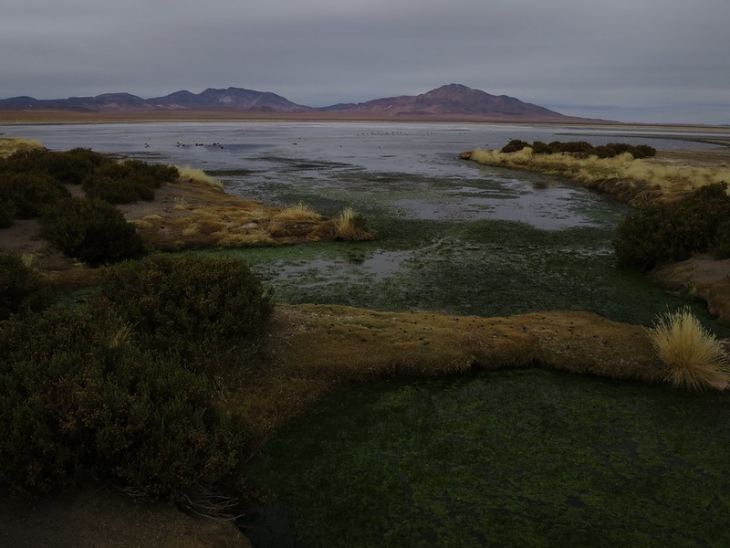 Laguna Tara