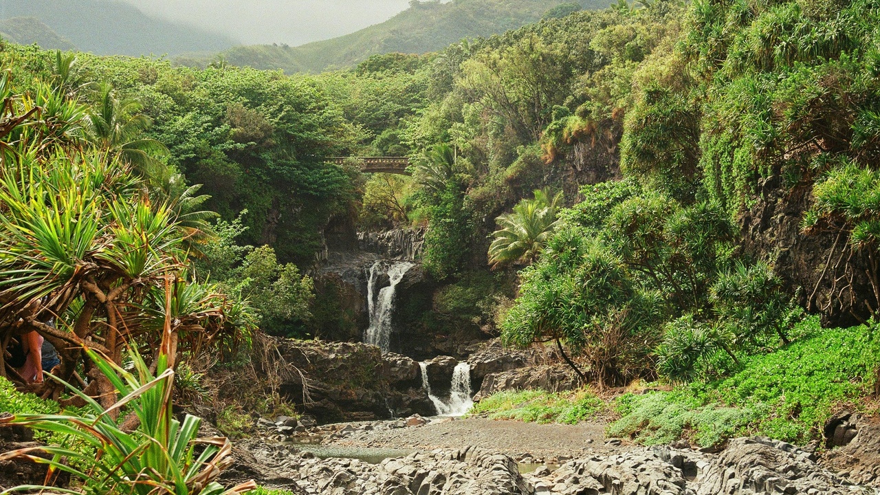 Hikers at Tavoro Falls in Taveuni, Fiji surrounded by rainforest