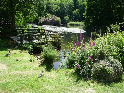Lily Lake