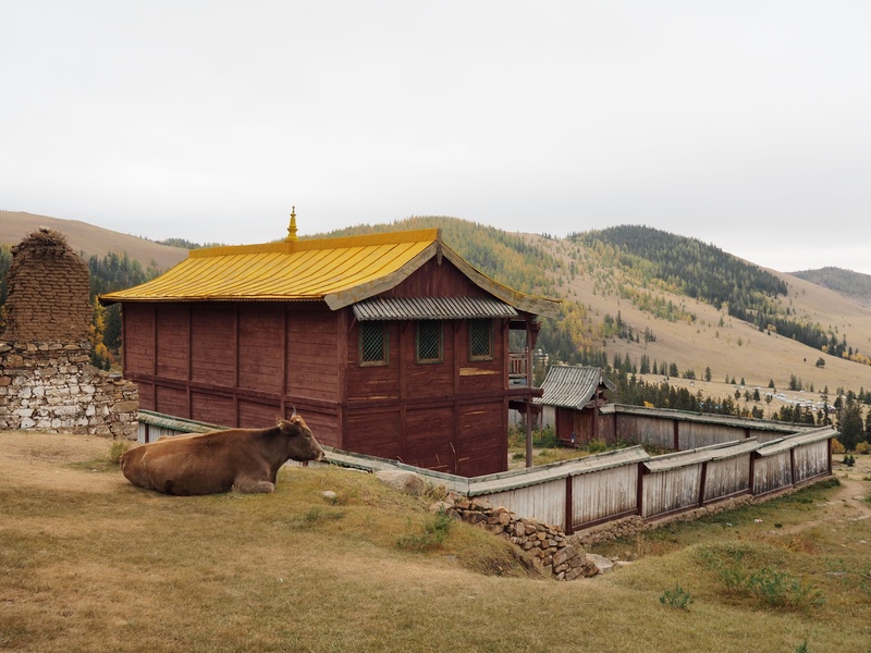 Manzushir Monastery ruins