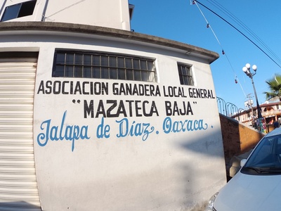 Mazatec