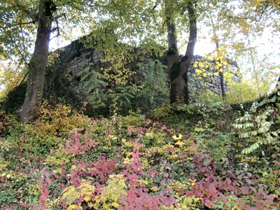 Mokronog Castle