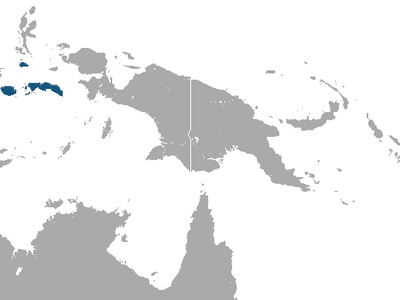 Moluccans