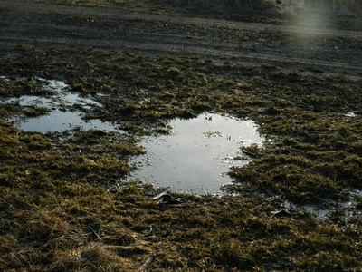 Mud Hen Lake