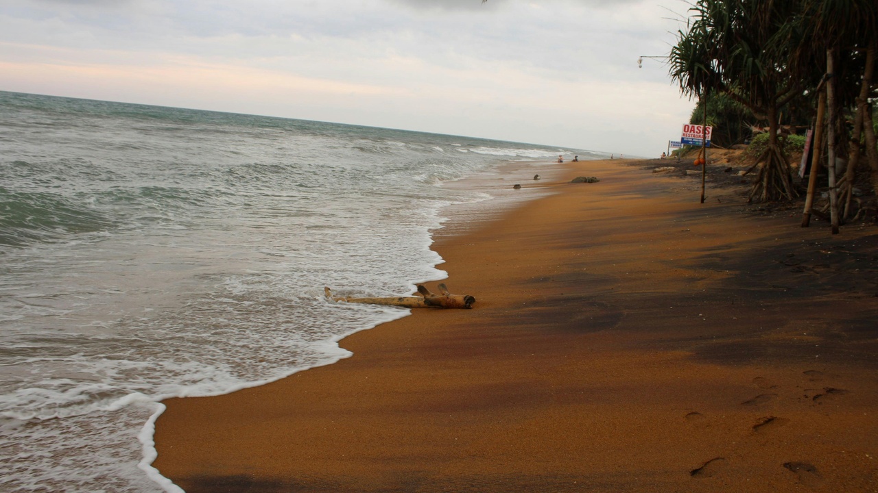 Sri Lanka coastline, Yala National Park leopard and Ella tea hills