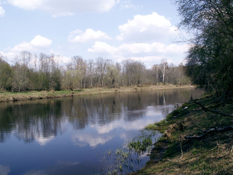 Nemunėlis