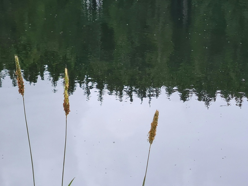 Ojo de Agua Lagoon