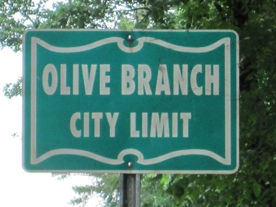 Olive Branch
