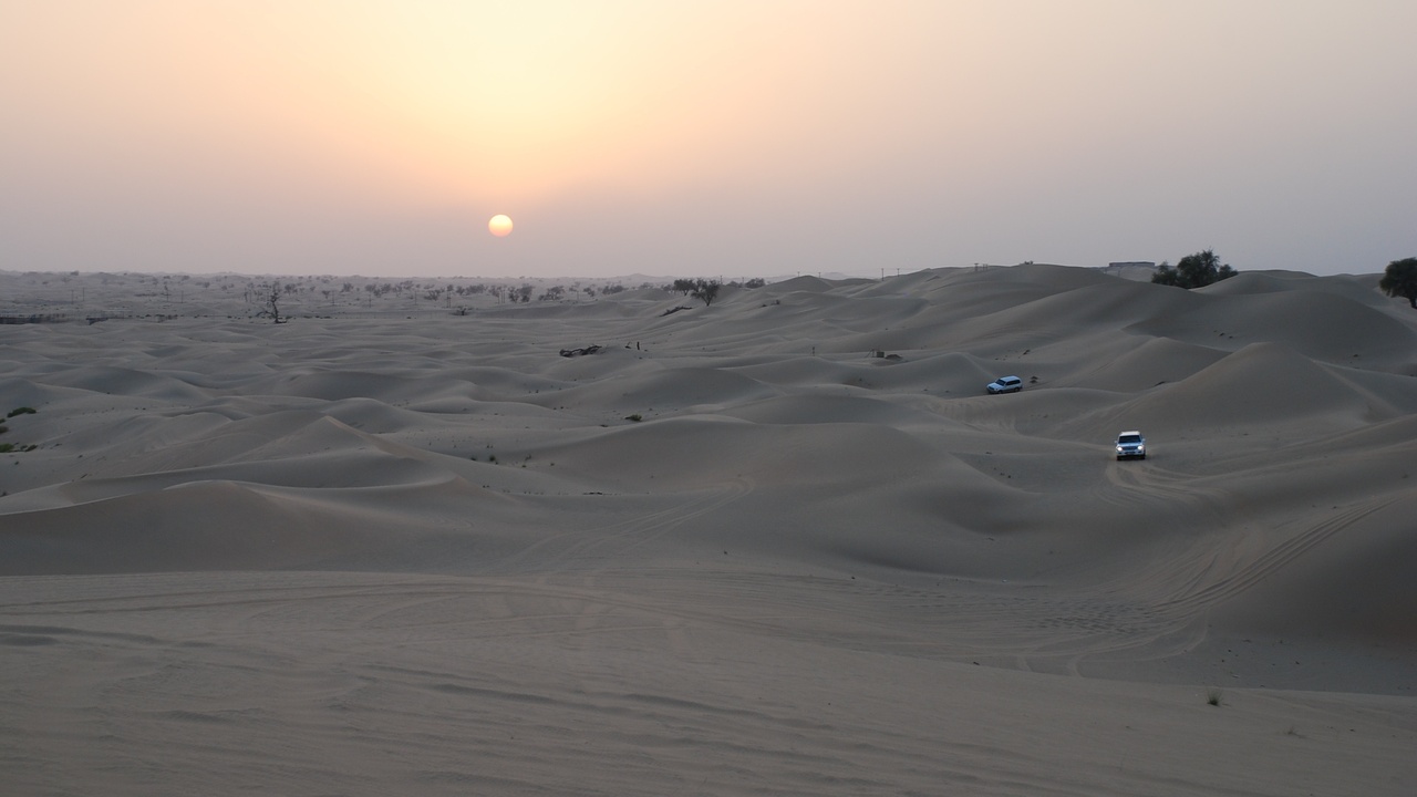 Desert dune silhouette near sunset in Abu Dhabi