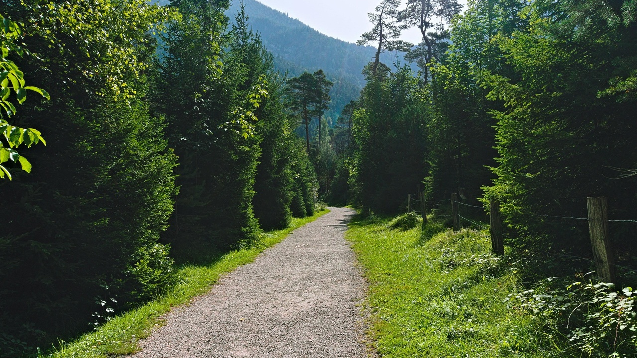Hikers on the Müllerthal Trail among sandstone formations