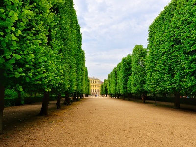 Palace and Gardens of Schönbrunn