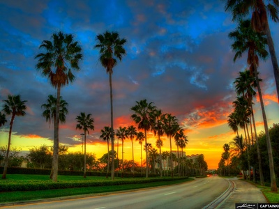 Palm Beach Gardens
