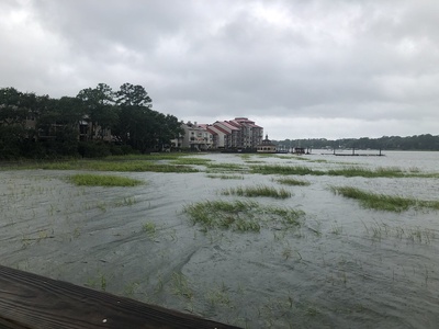 Palmetto Bay