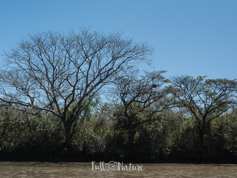 Palo Verde Lagoon
