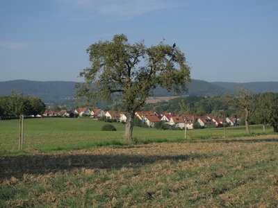 Pfälzisch (Palatine German)