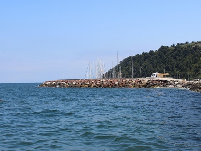 Piney Point